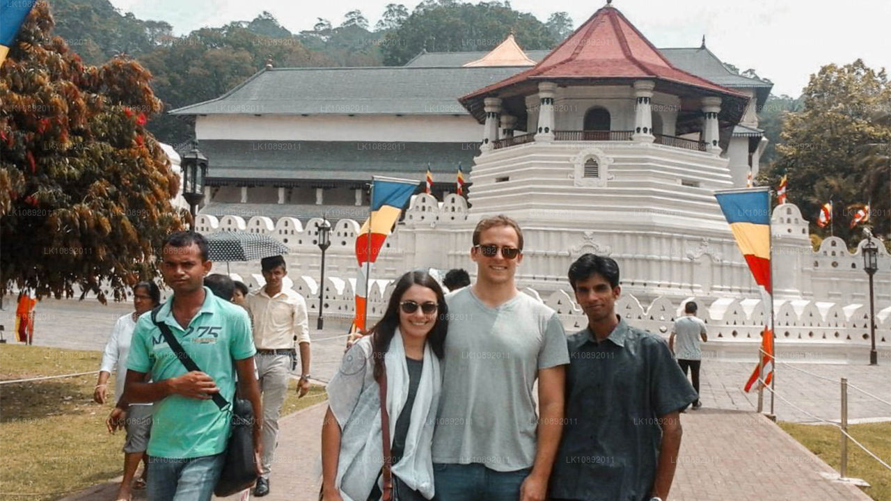 Культура, дикая природа и природа (8 дней)