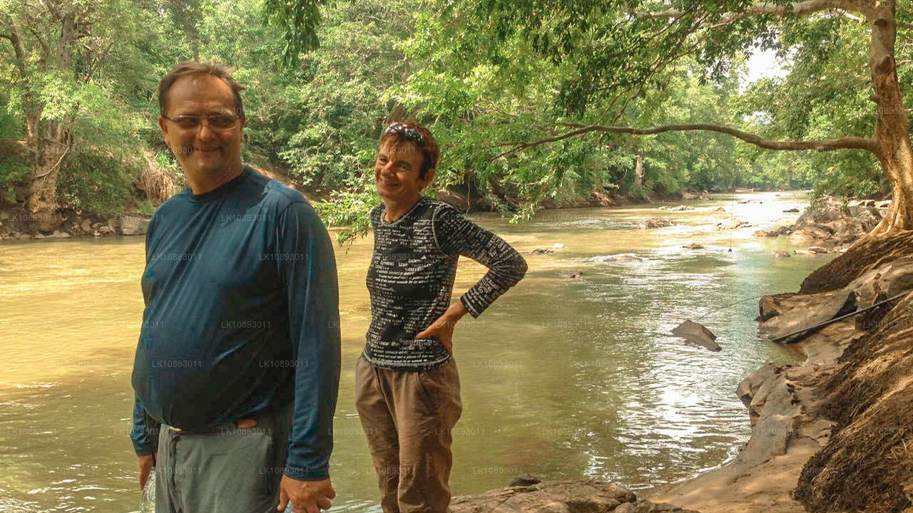 Дикие чудеса (8 дней)