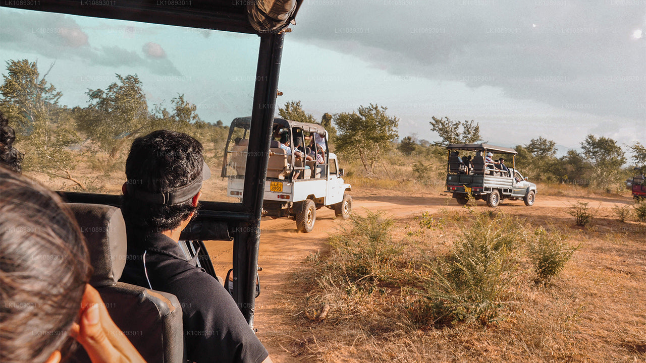 Дикие чудеса (8 дней)