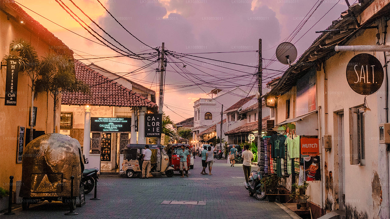 Дикие чудеса (8 дней)