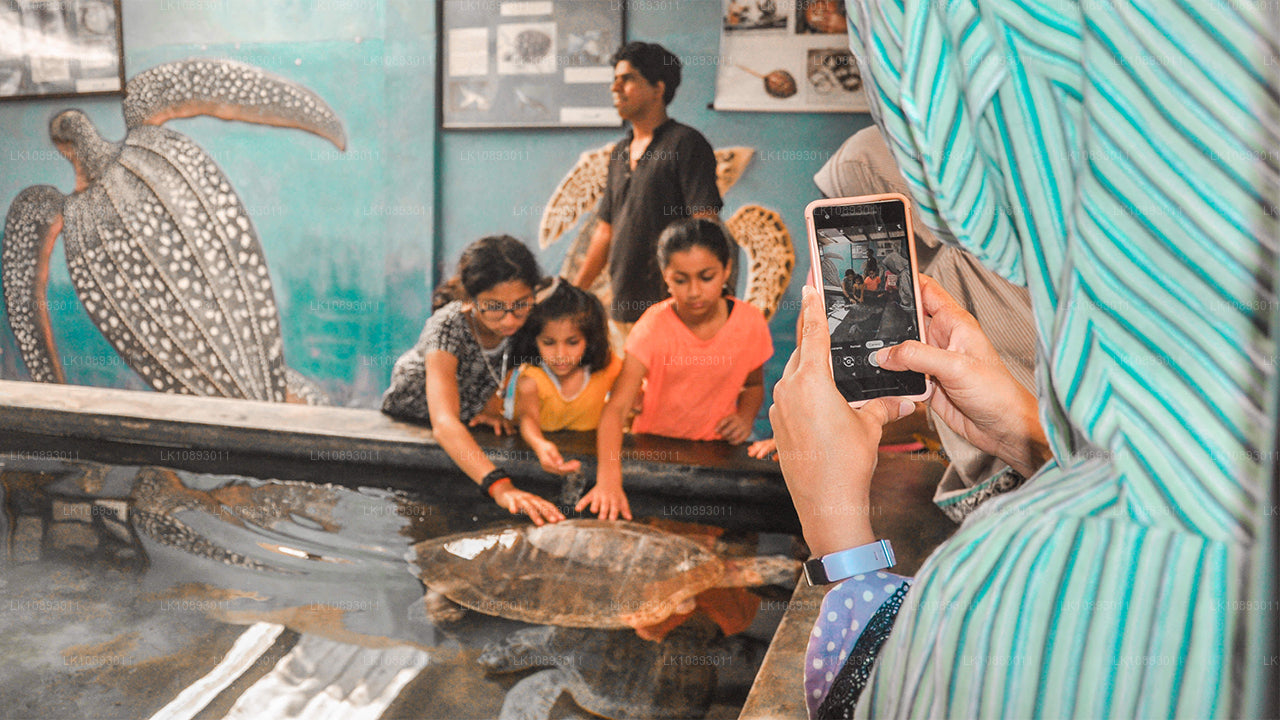 Дикие чудеса (8 дней)