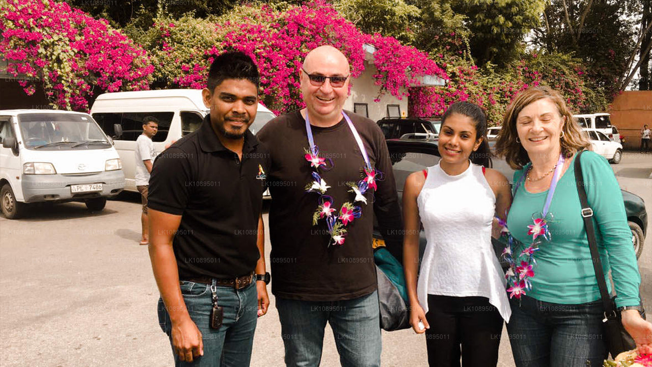 Впечатления Джеффри Бавы (8 дней)