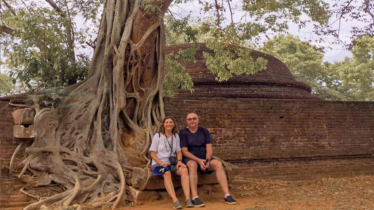 Впечатления Джеффри Бавы (8 дней)