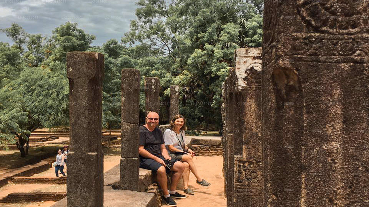 Впечатления Джеффри Бавы (8 дней)