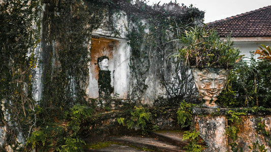 Впечатления Джеффри Бавы (8 дней)