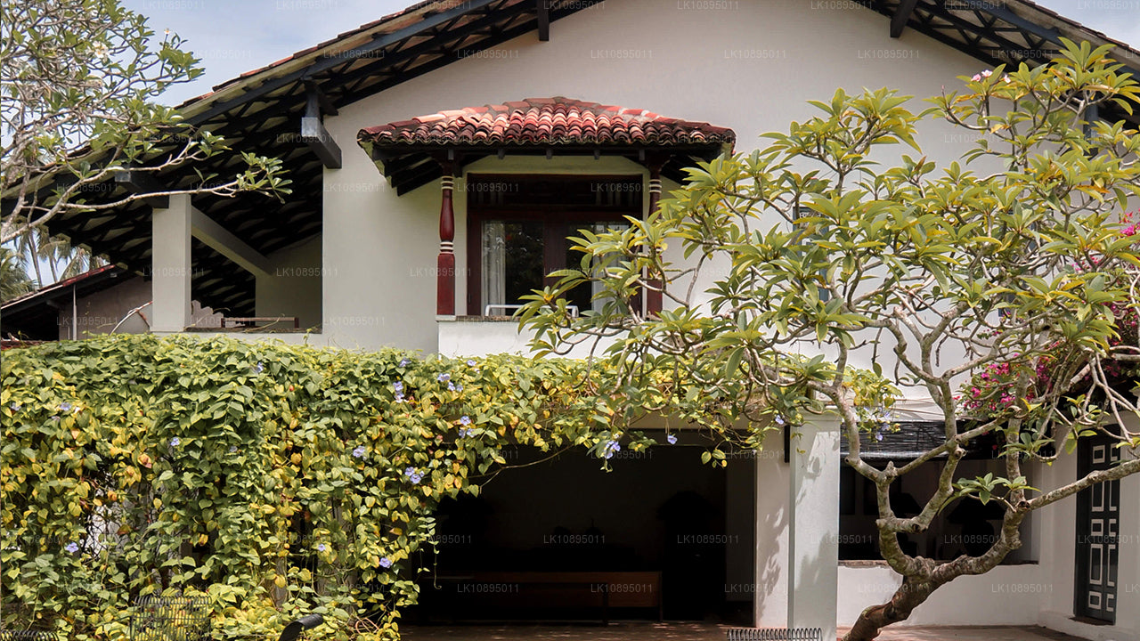 Впечатления Джеффри Бавы (8 дней)