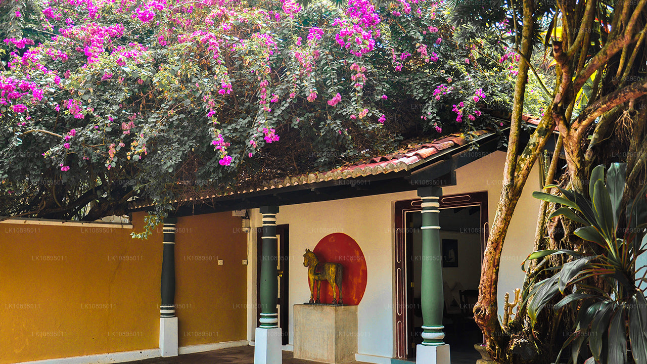 Впечатления Джеффри Бавы (8 дней)