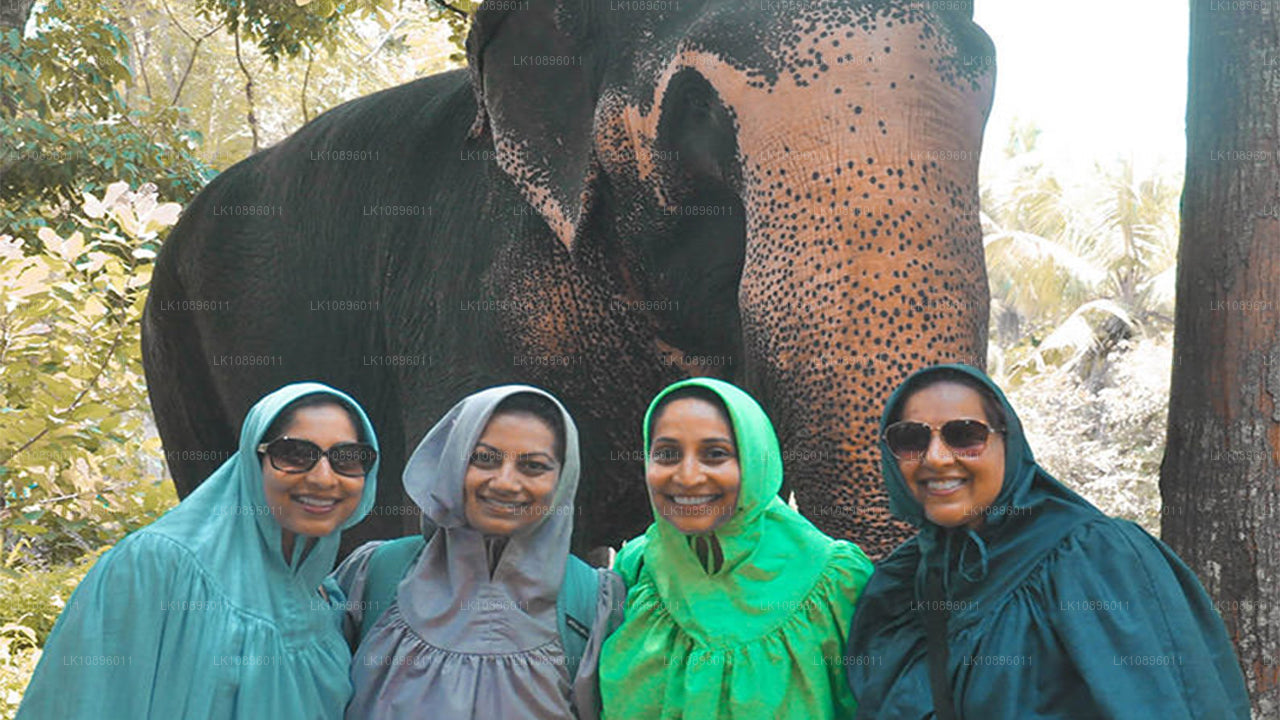 Побережье и холмы (8 дней)