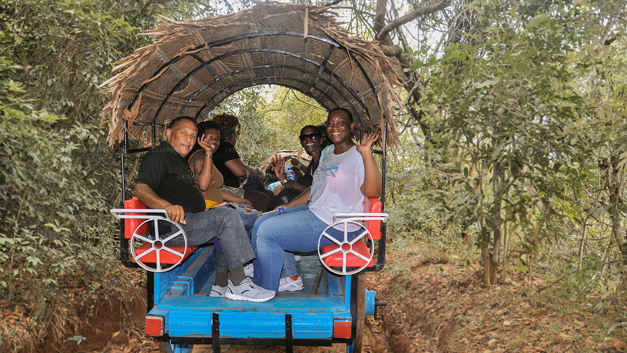 Побережье и холмы (8 дней)