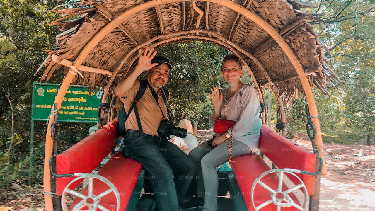 Побережье и холмы (8 дней)