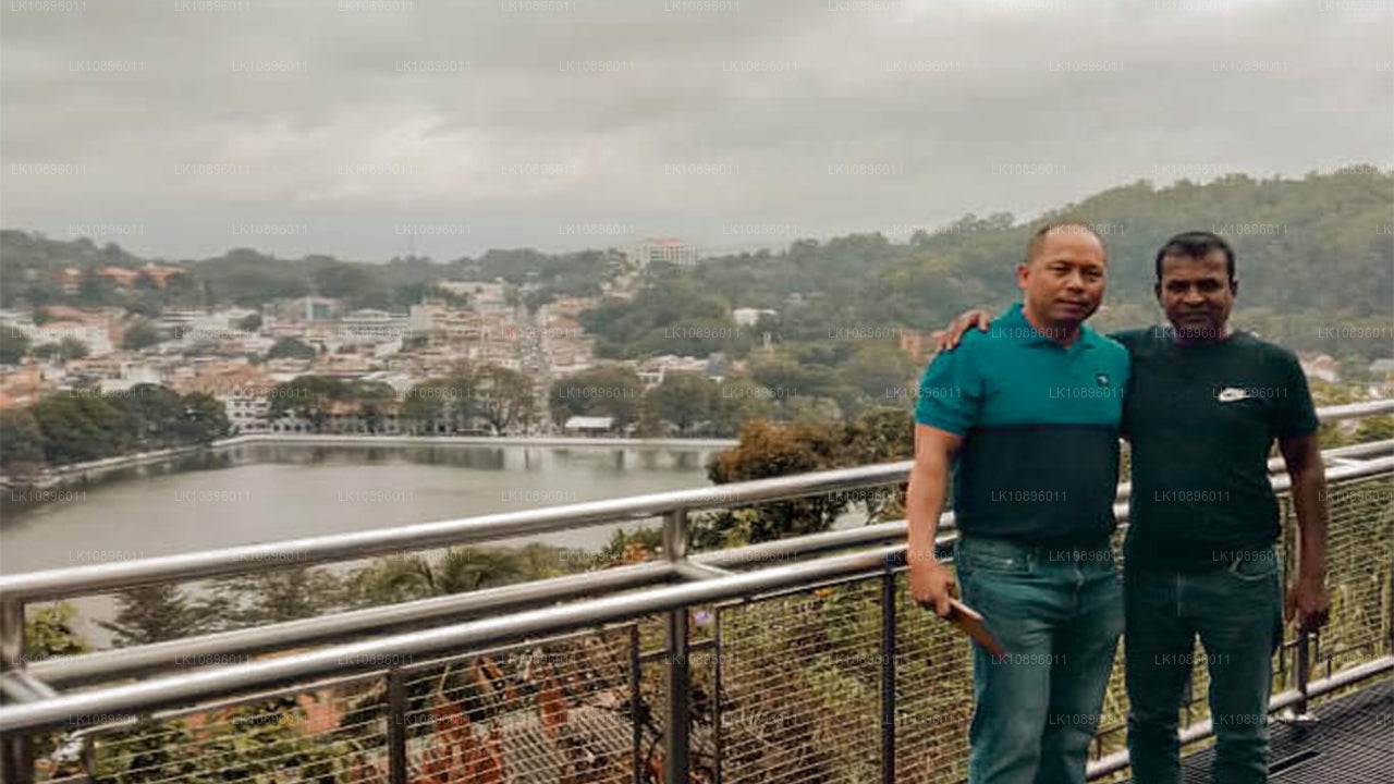 Побережье и холмы (8 дней)