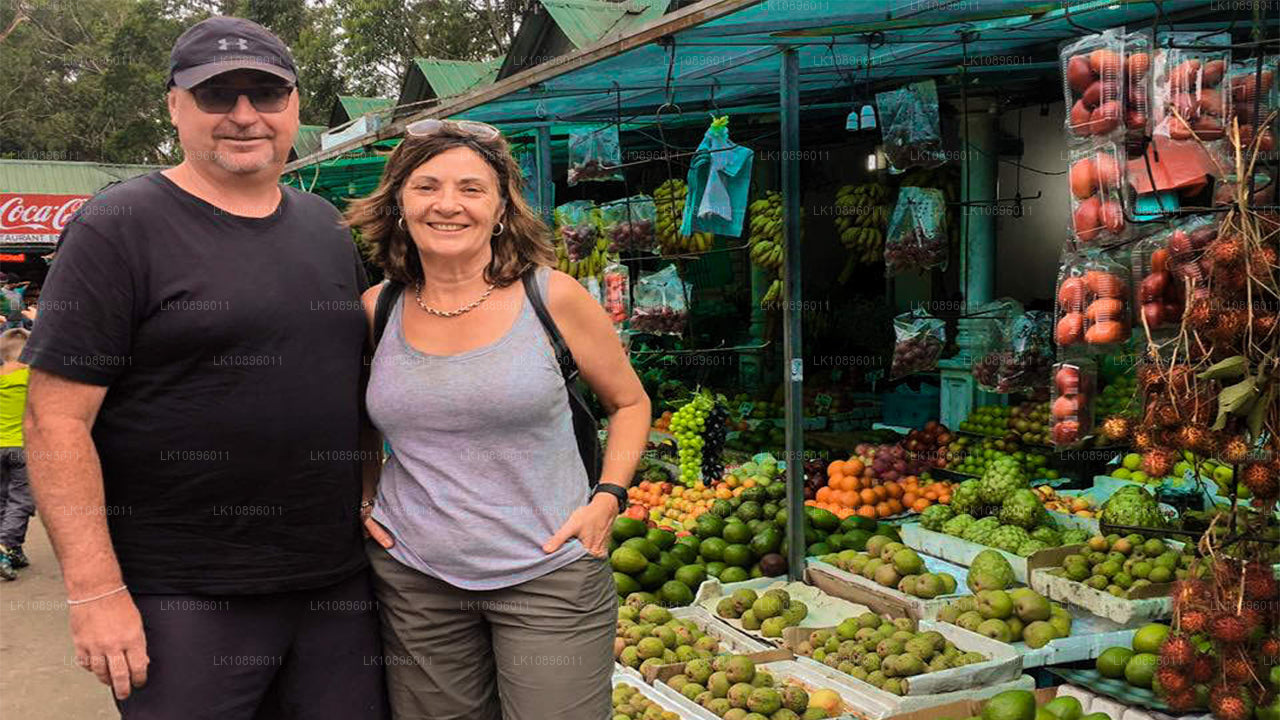 Побережье и холмы (8 дней)