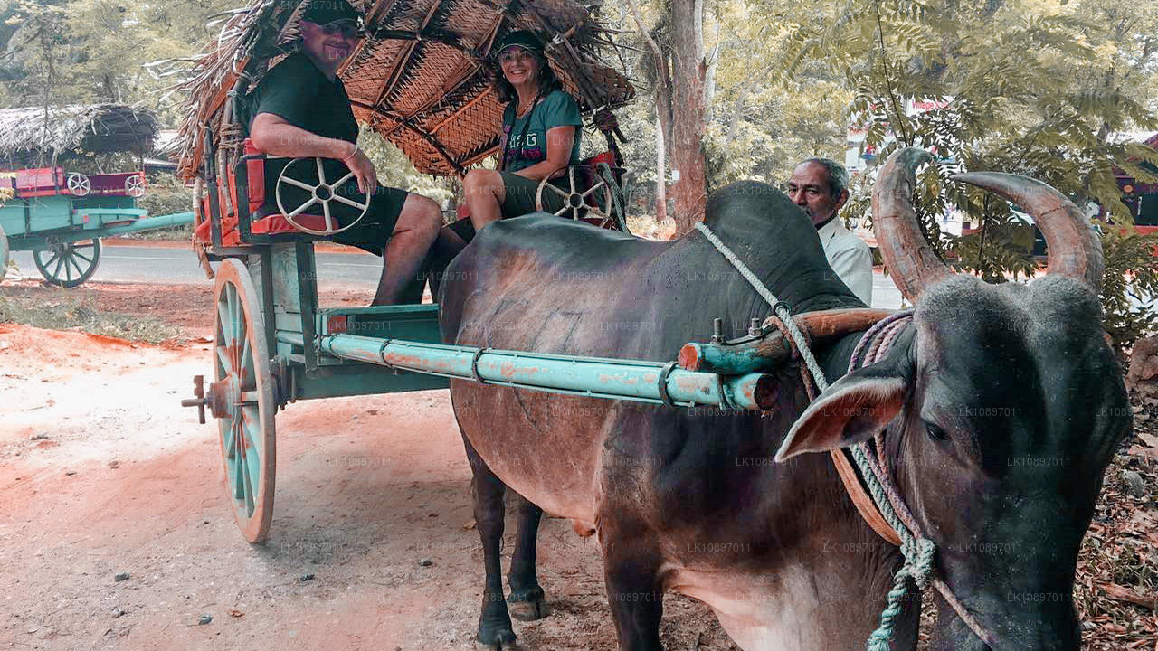 Культура и дикая природа (8 дней)