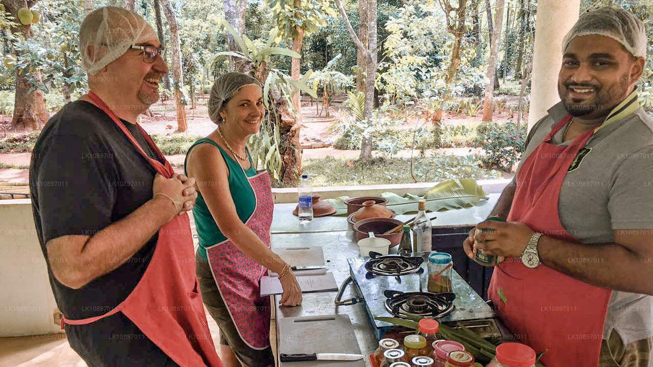 Культура и дикая природа (8 дней)