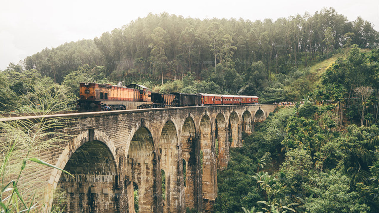 Откройте для себя Серендиб по железной дороге (8 дней)