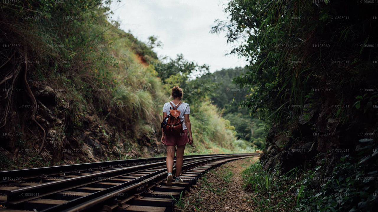 Откройте для себя Серендиб по железной дороге (8 дней)