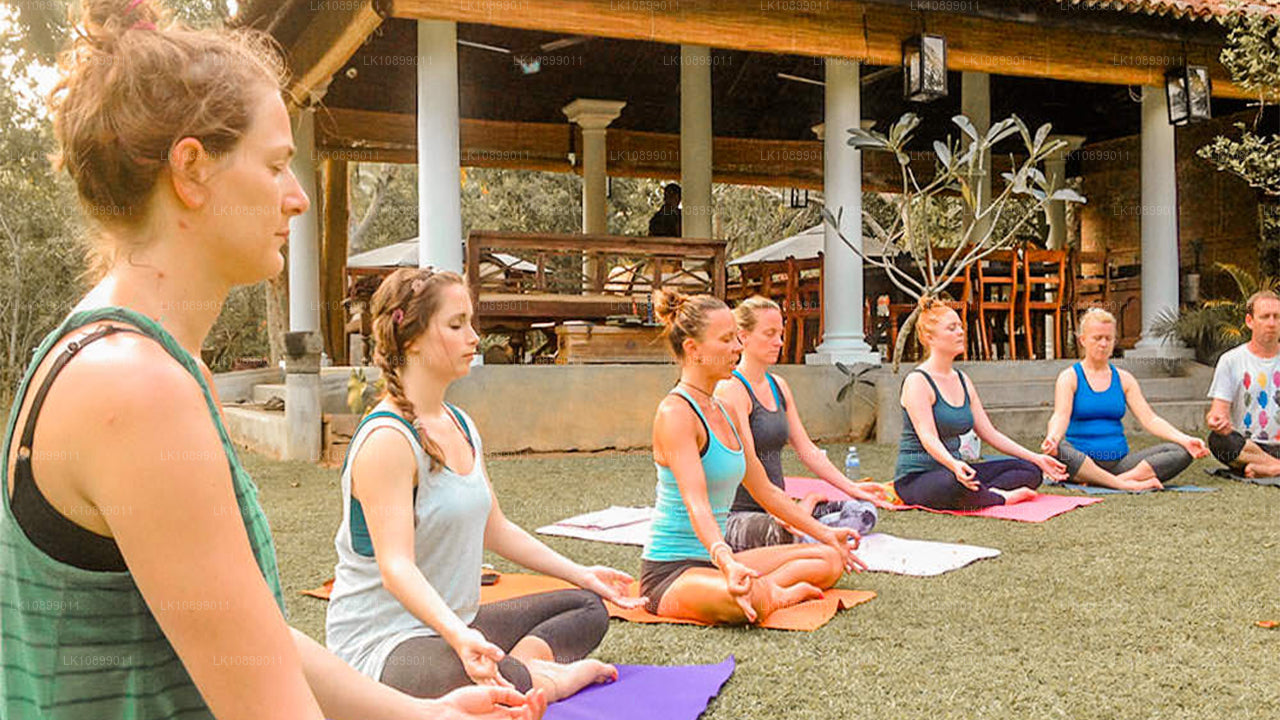 A group of people practicing yoga outdoors, sitting in a lotus position on mats with a trainer in the foreground.