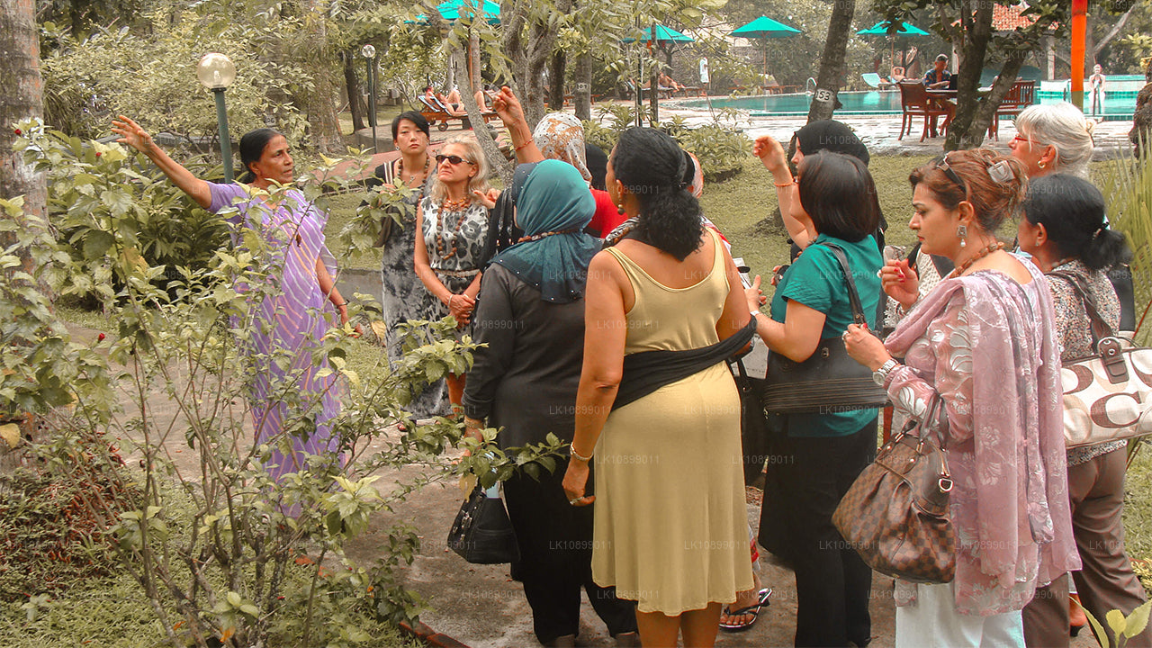 Облегчение и расслабление с Сиддалепой (8 дней)