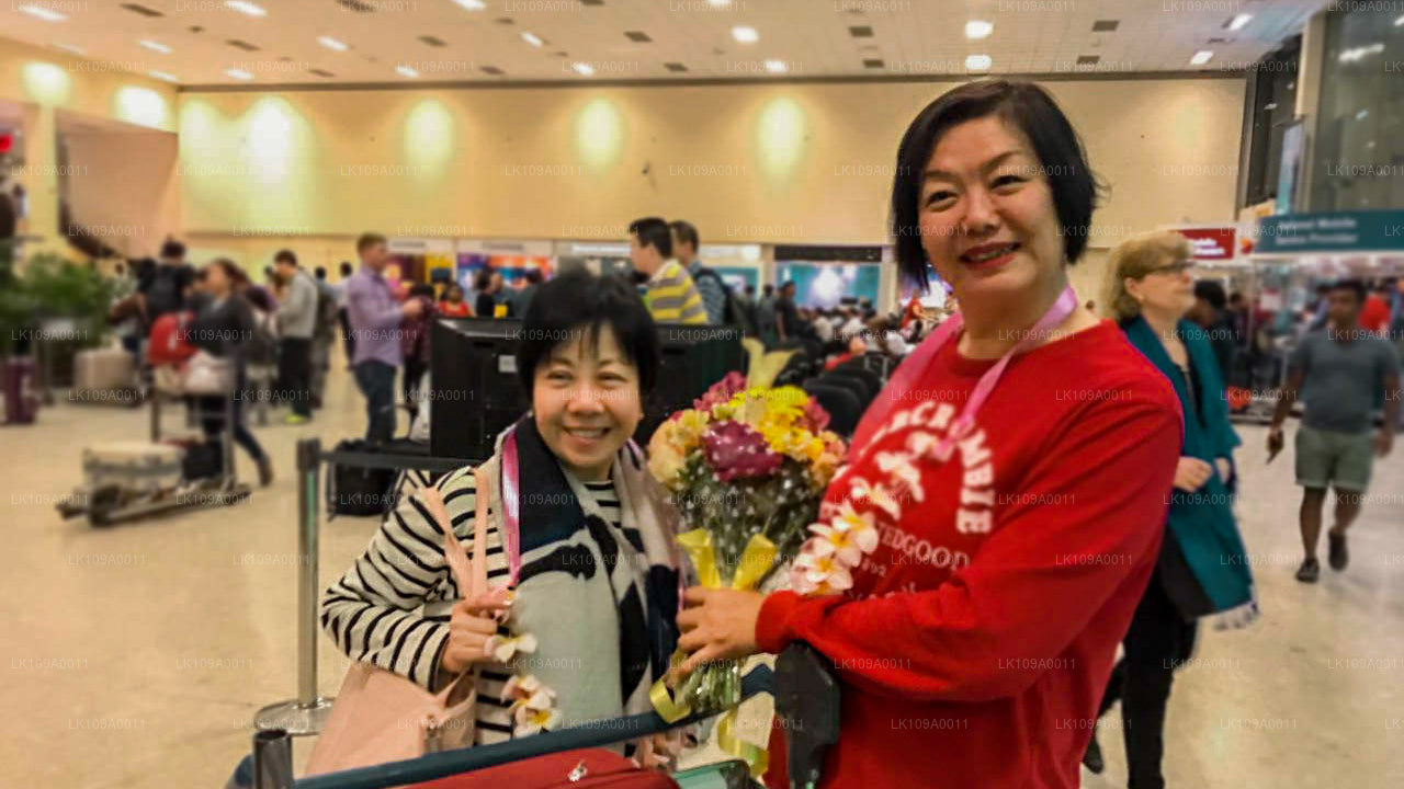 Культура и наследие (9 дней)