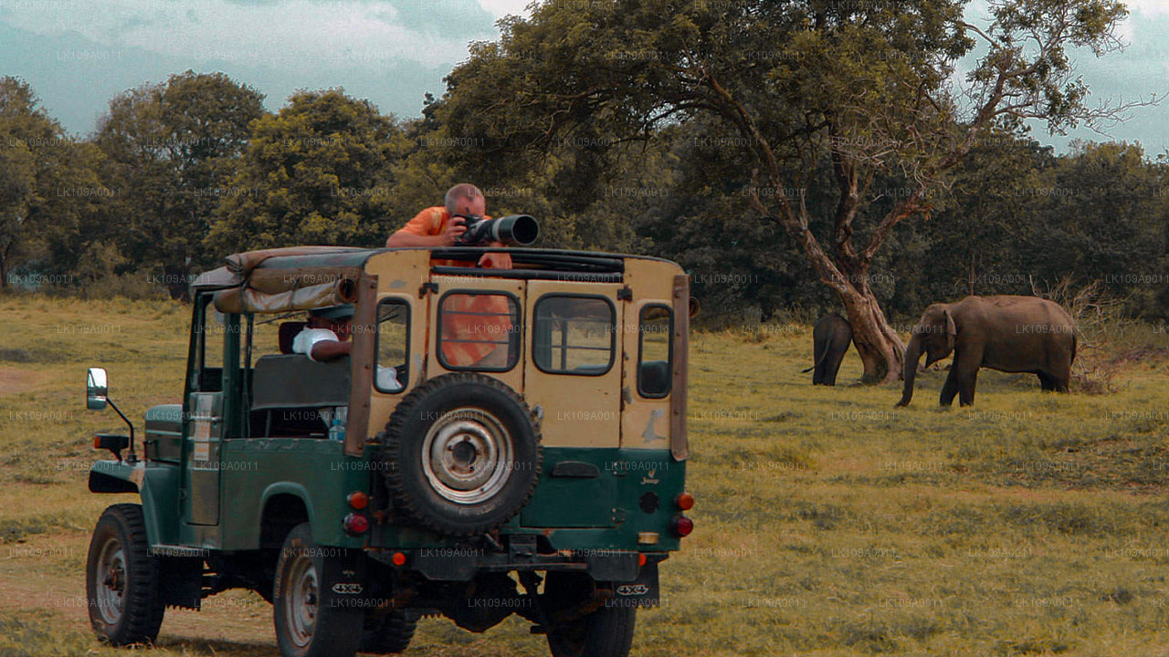 Культура и наследие (9 дней)