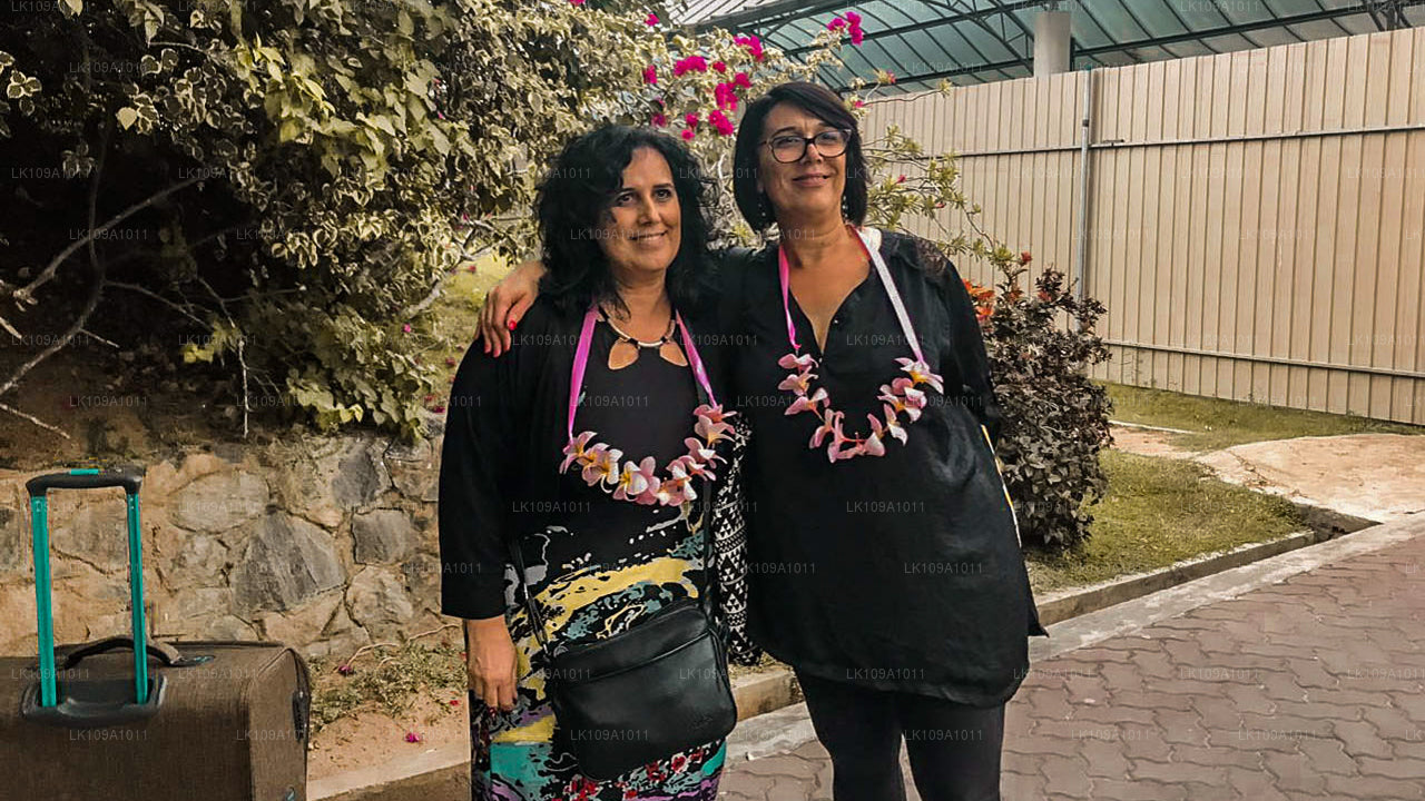 Посетите юг и холмы (9 дней)