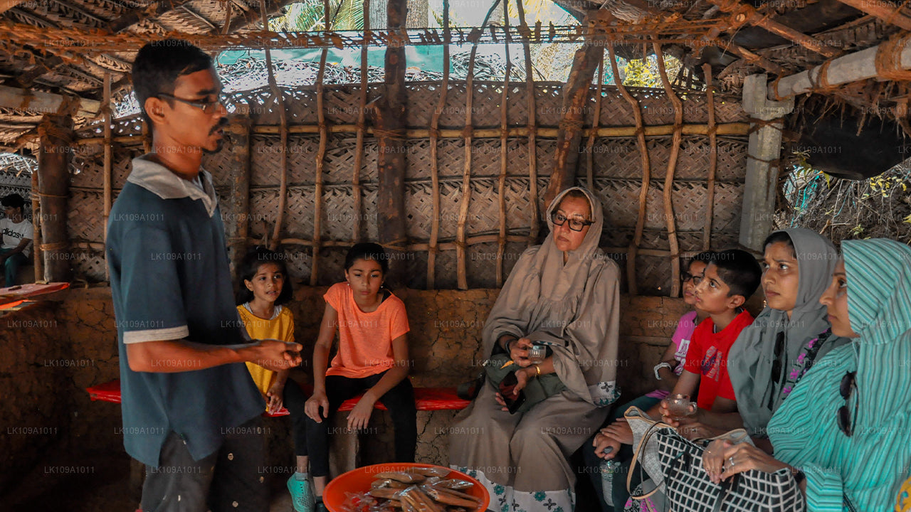 Посетите юг и холмы (9 дней)