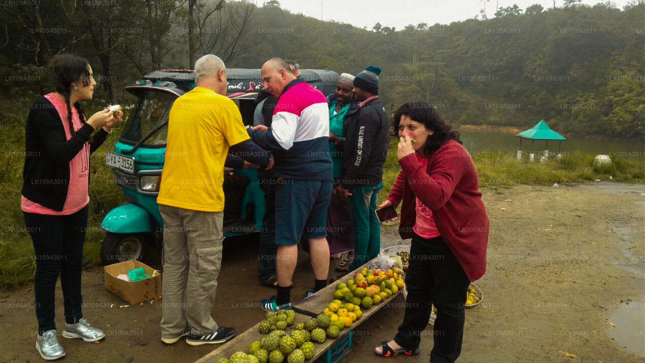 Отдых в Шри-Ланке (9 дней)