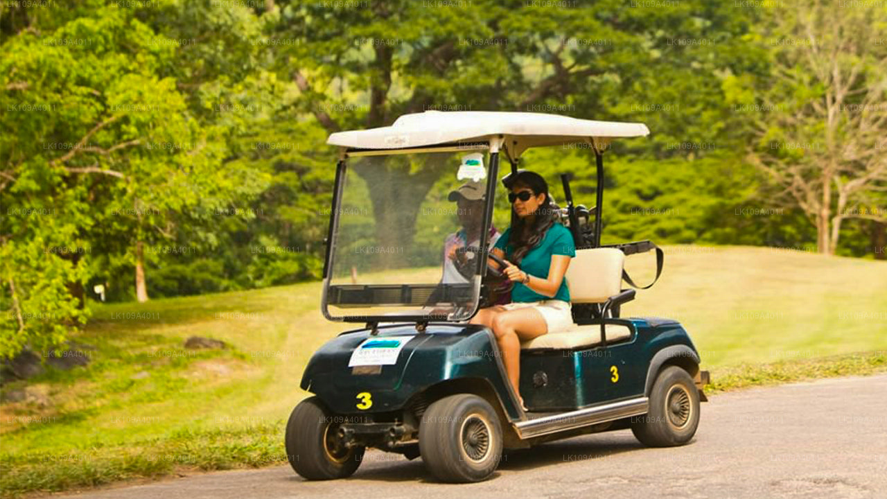 Зеленые фарватеры и гольф-брейк (9 дней)