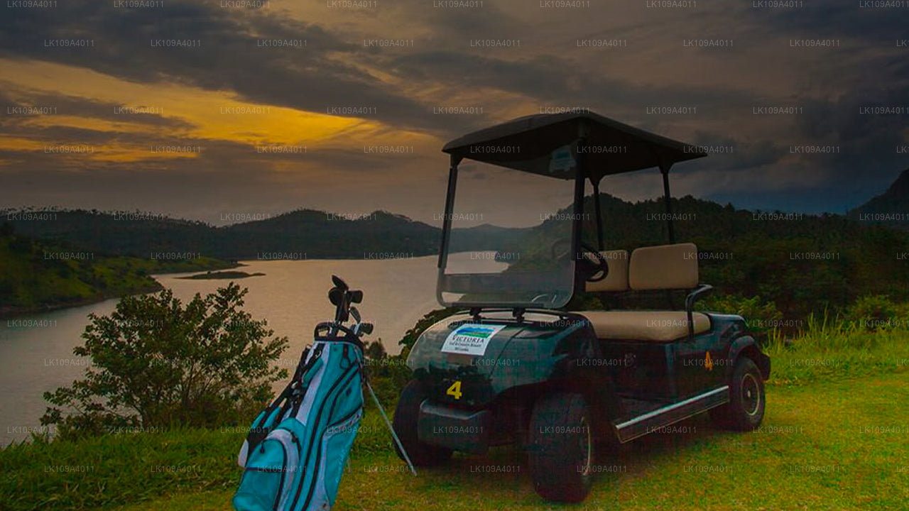 Зеленые фарватеры и гольф-брейк (9 дней)