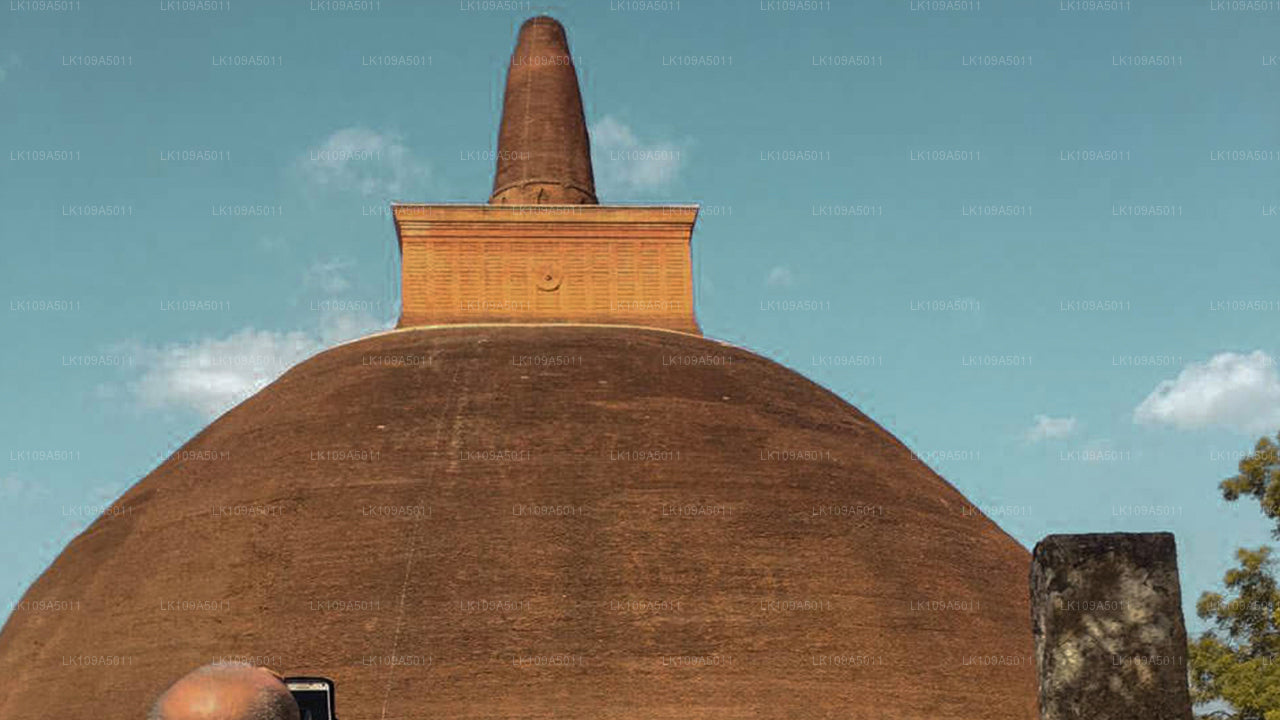 Буддийский паломнический тур (9 дней)