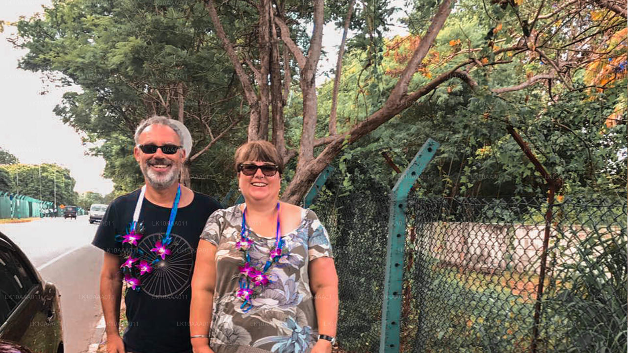 Основные достопримечательности Шри-Ланки (10 дней)