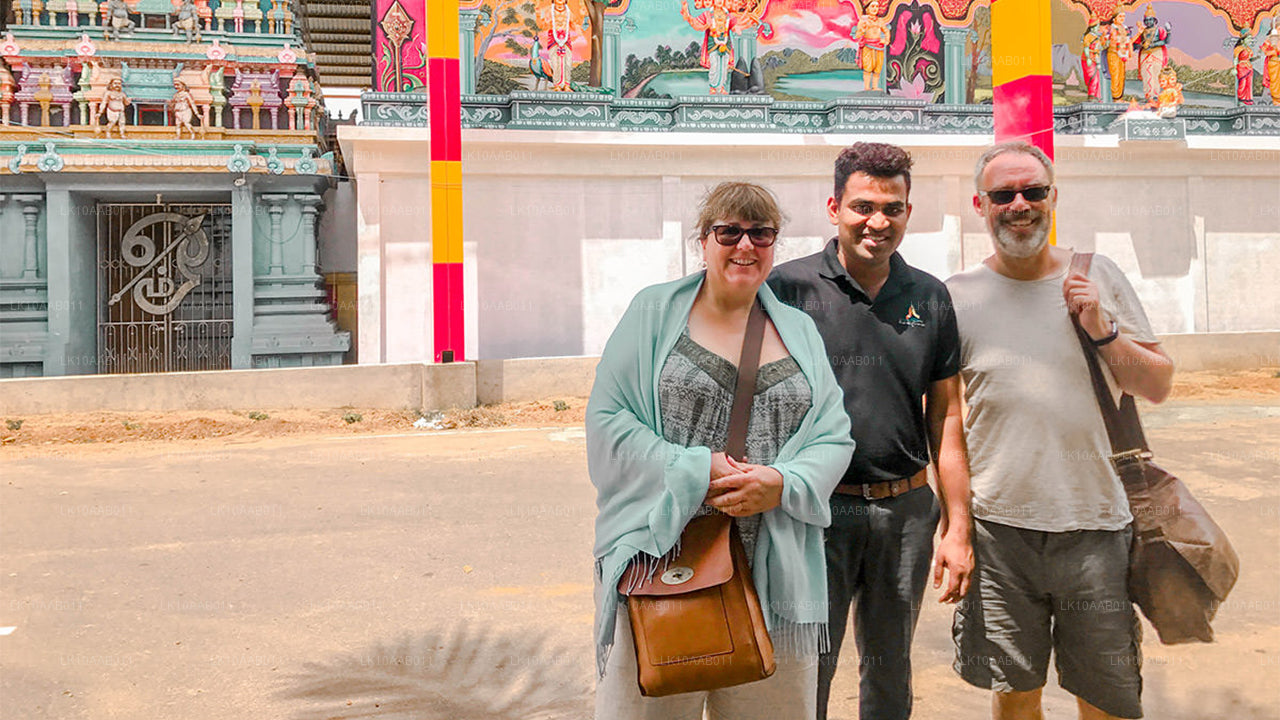 Южные пляжи Серендиба (10 дней)