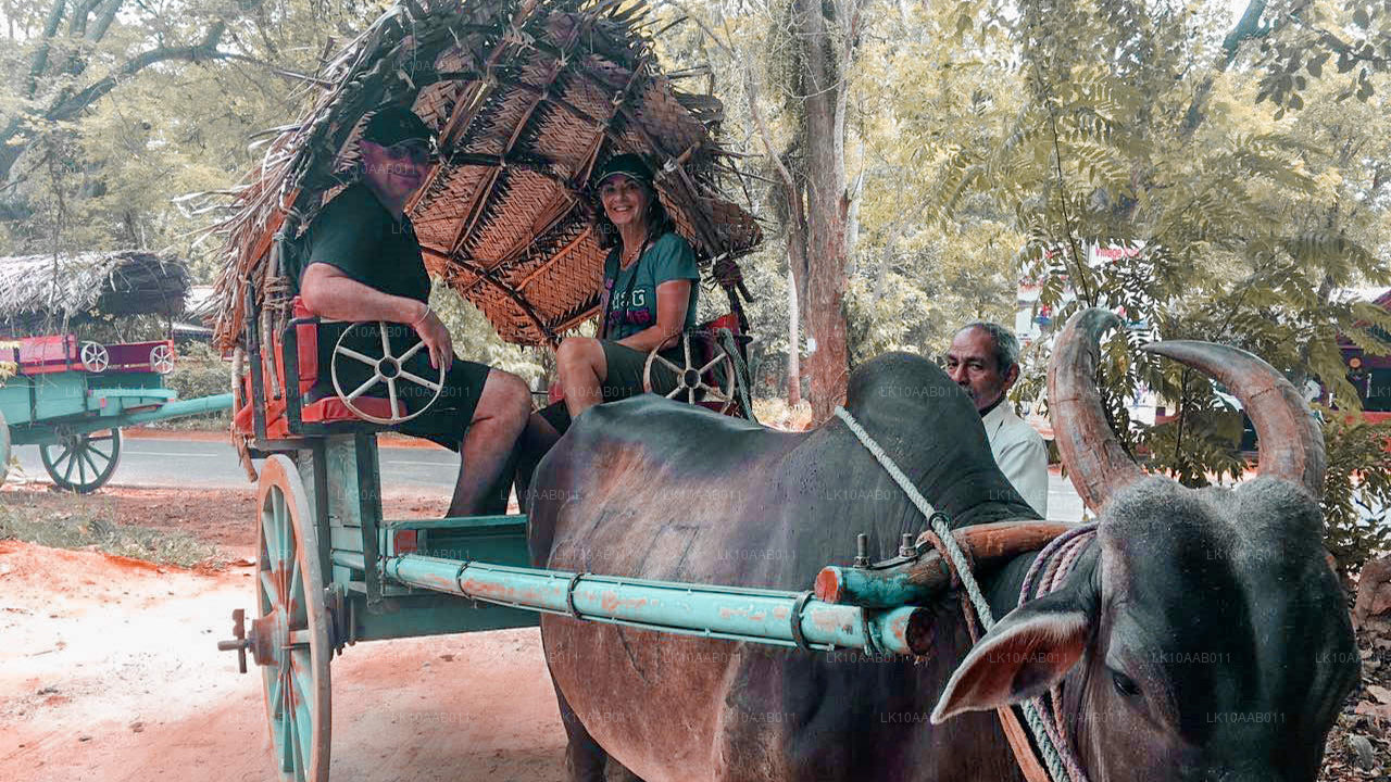 Южные пляжи Серендиба (10 дней)
