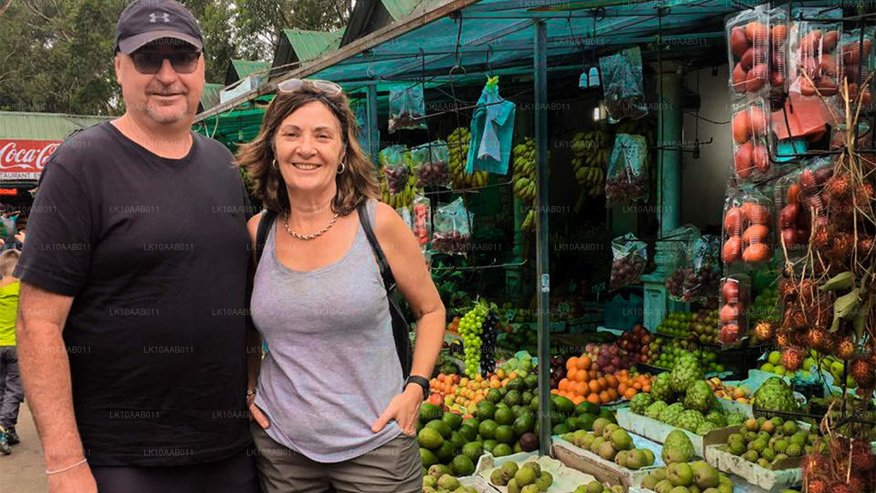 Южные пляжи Серендиба (10 дней)