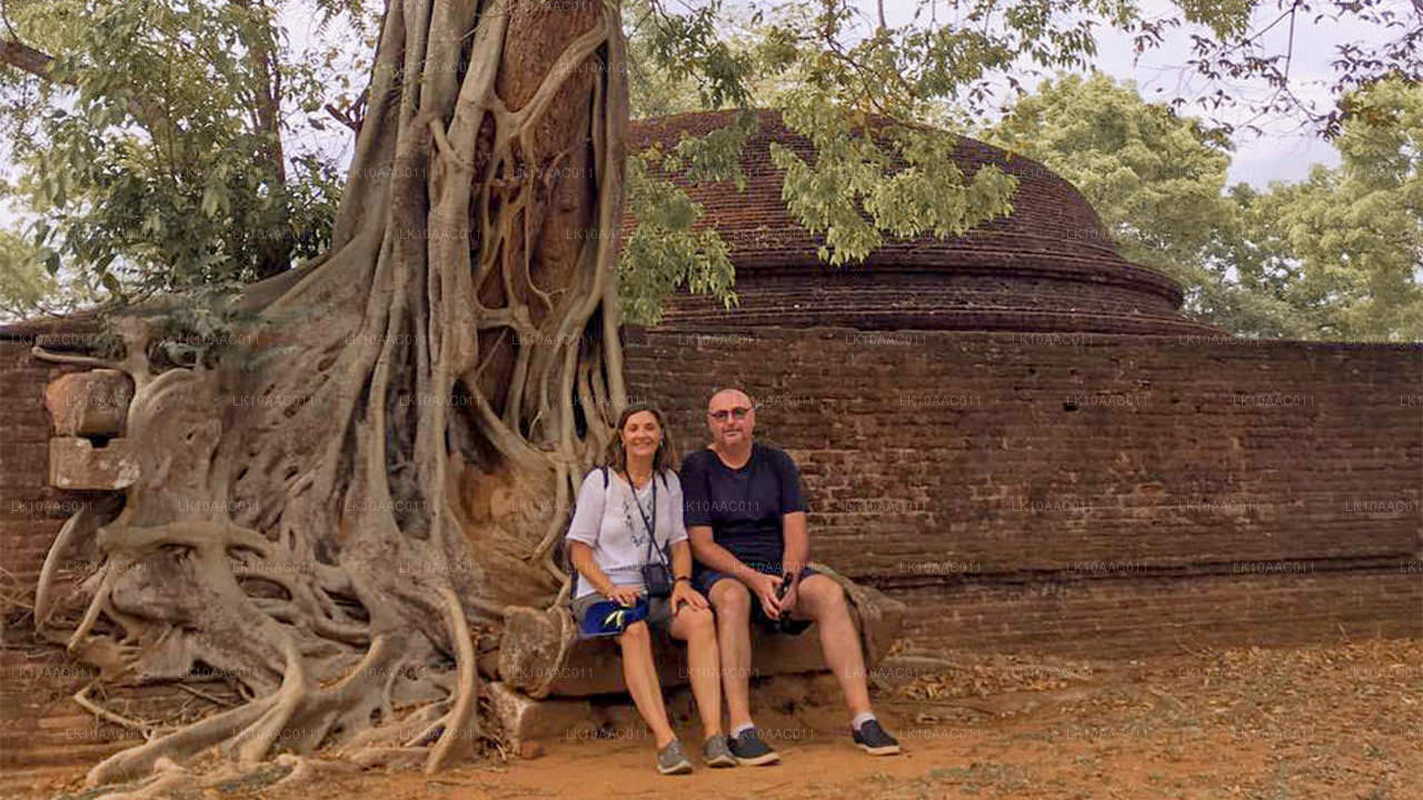 Царства Цейлона (10 дней)