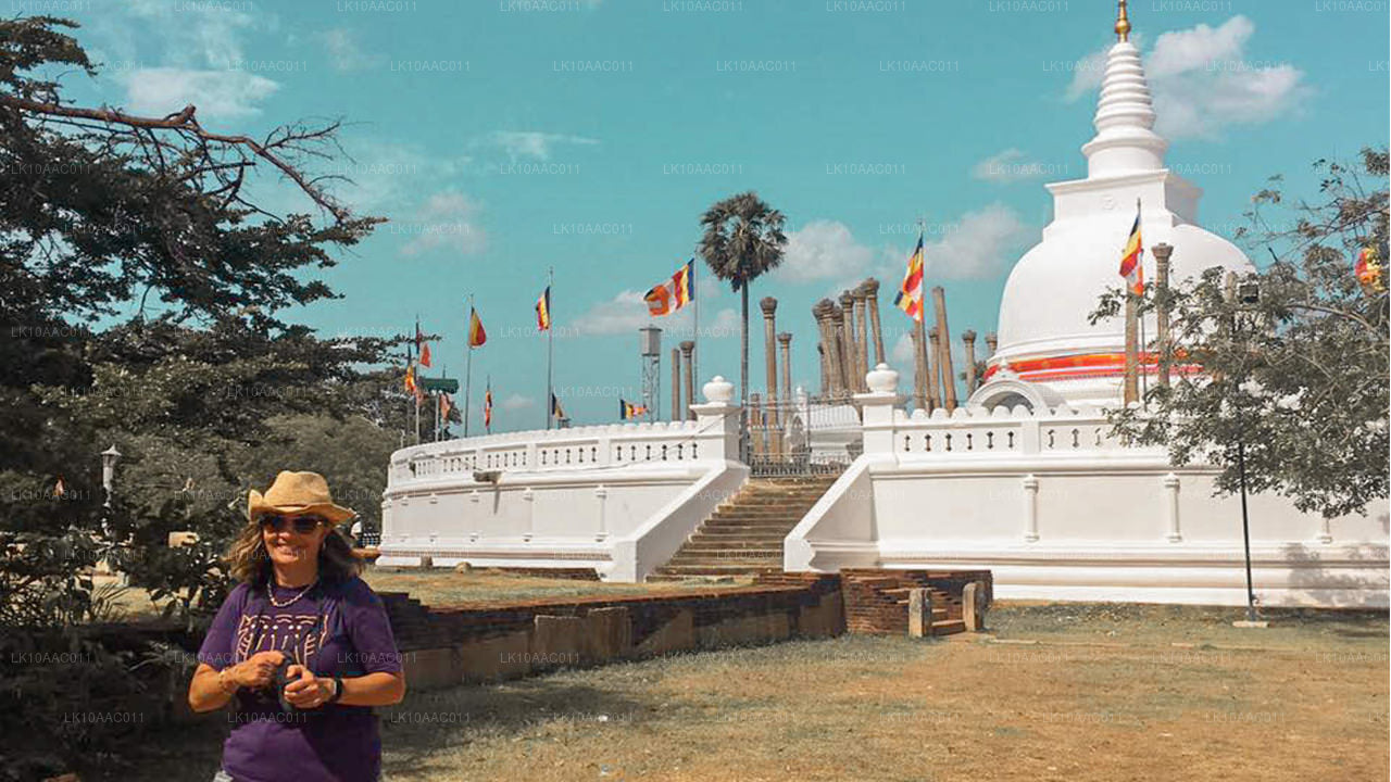 Царства Цейлона (10 дней)