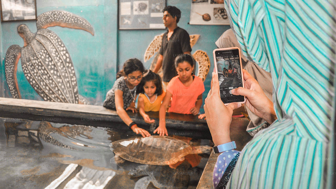 Царства Цейлона (10 дней)