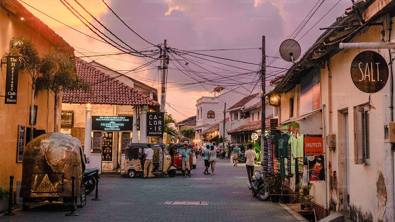 Праздник Рамаяна (10 дней)
