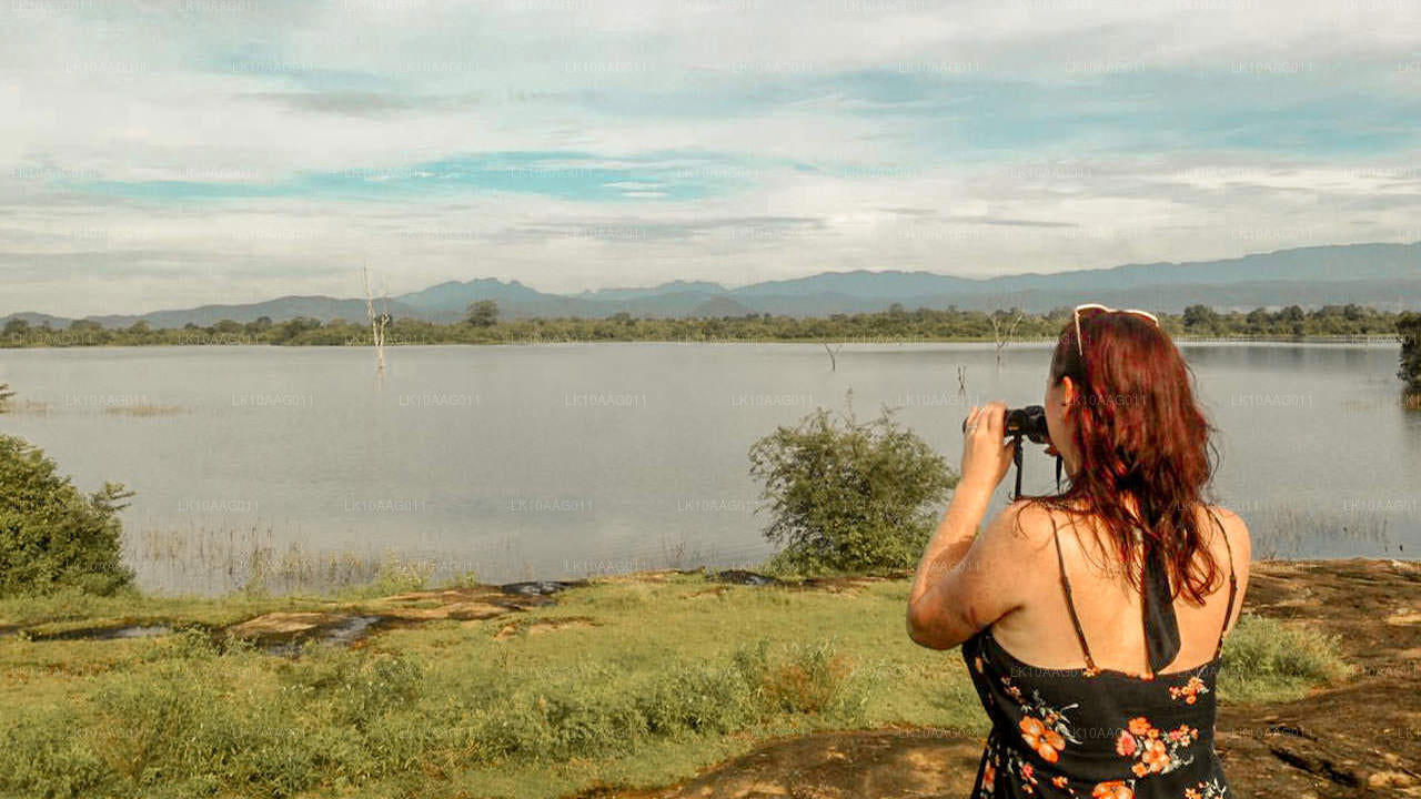 Дикая природа Шри-Ланки (10 дней)