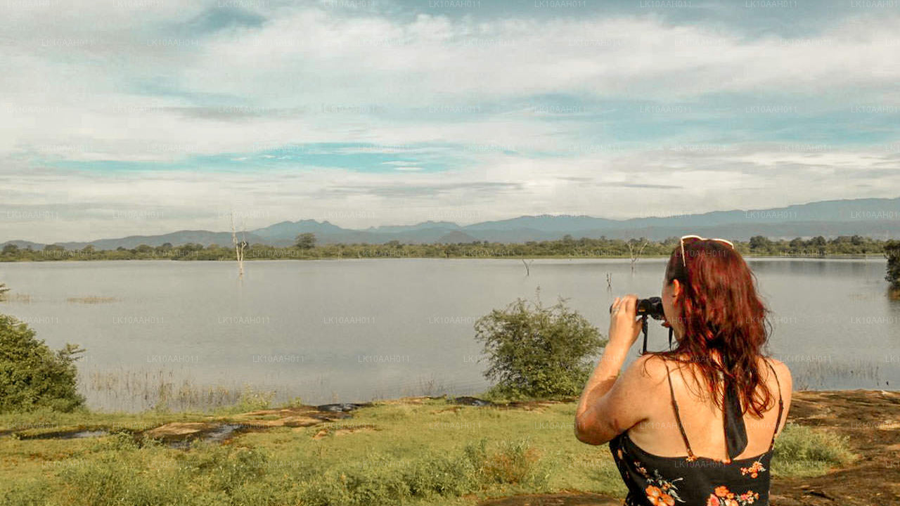 История и наследие (10 дней)