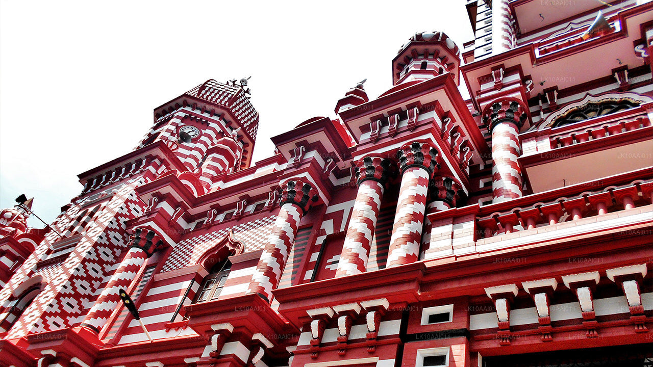 Халяльный (исламский) тур по Шри-Ланке (10 дней)