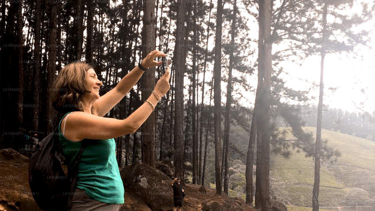 Халяльный (исламский) тур по Шри-Ланке (10 дней)