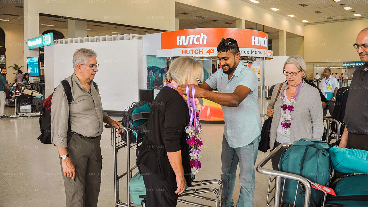 Чайный тур по Цейлону (10 дней)