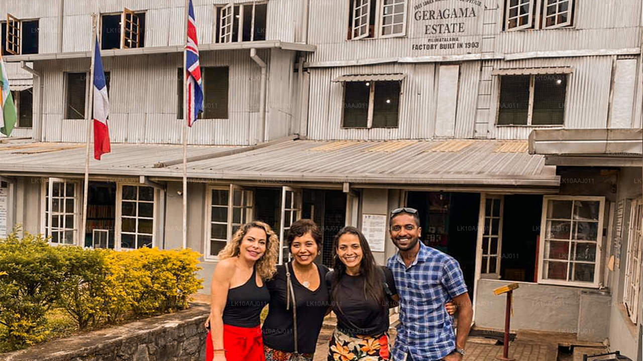 Чайный тур по Цейлону (10 дней)