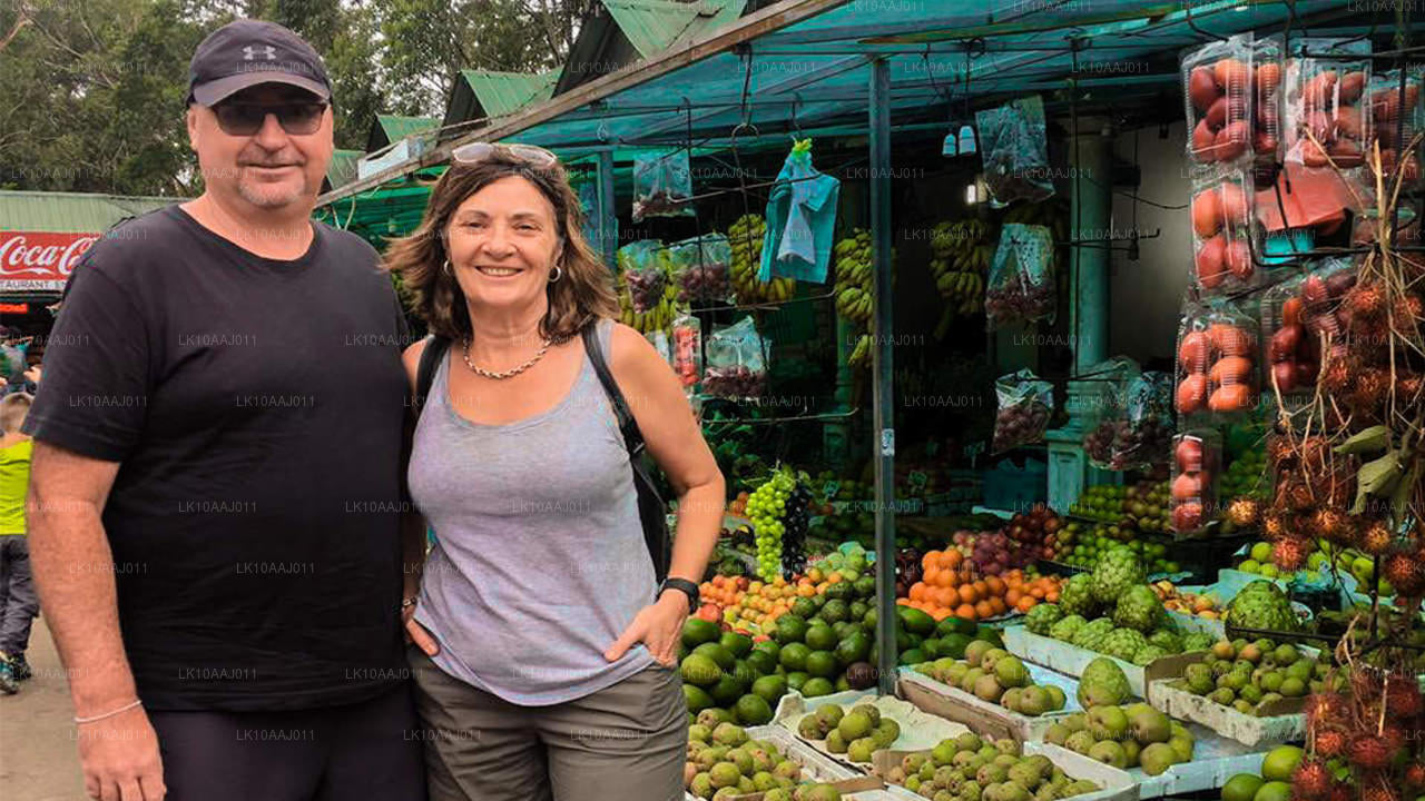 Чайный тур по Цейлону (10 дней)