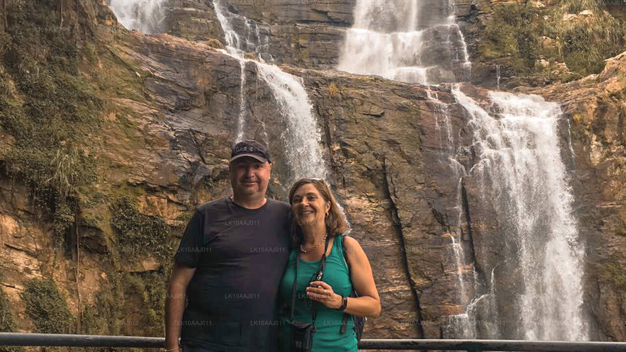 Чайный тур по Цейлону (10 дней)