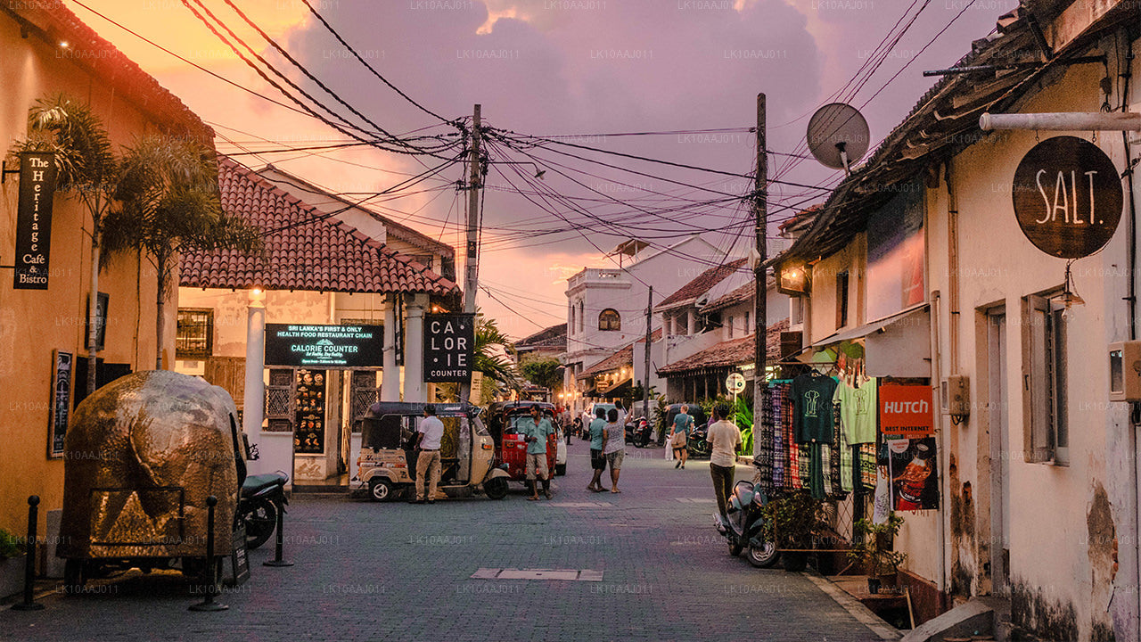 Чайный тур по Цейлону (10 дней)