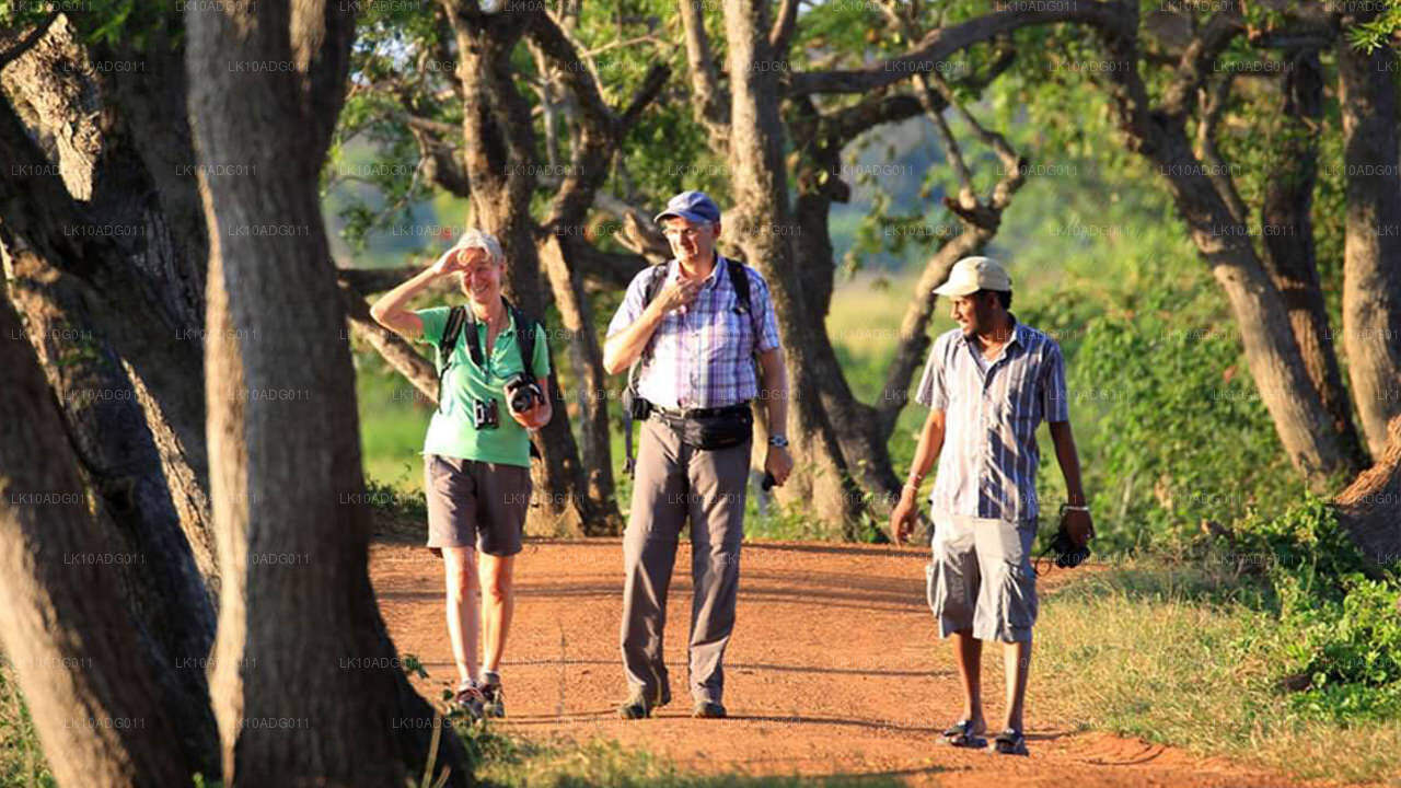 Тур по наблюдению за птицами и дикой природе (10 дней)