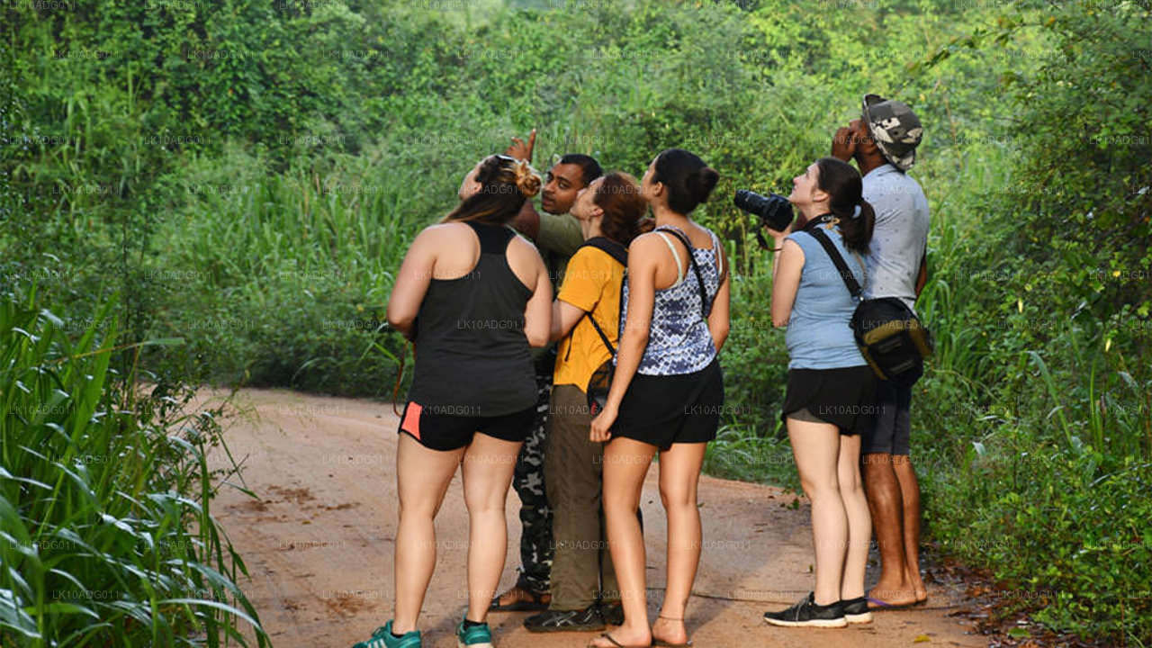 Тур по наблюдению за птицами и дикой природе (10 дней)