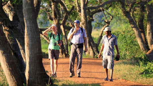 Тур «Птицы и дикая природа» (11 дней)